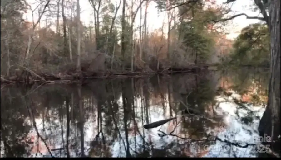 1824 Germantown Place, Dillon, SC 29536 - Image #3