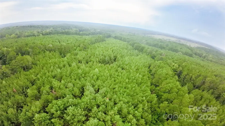 101 +/- AC Woods Ferry Road, Carlisle, SC 29031 - Image #2