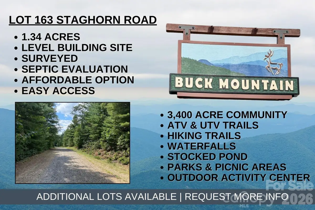 TBD Staghorn Road #163, Purlear, NC 28665 - Image #1