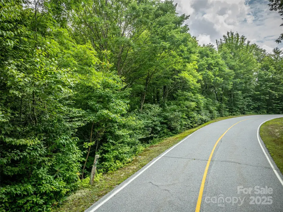 000 Meadow Ridge Drive #L9, Lake Toxaway, NC 28747 - #3