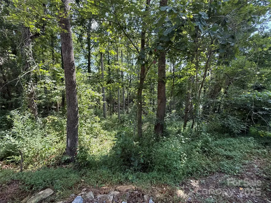 256 Burge Mountain Road, Hendersonville, NC 28792 - Image #3