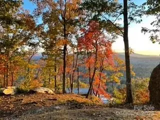 00 Marble Heights Trail #e11, Hendersonville, NC 28791 - Image #3