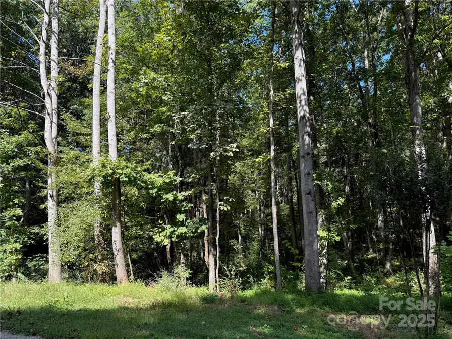 302 Didio Circle, Mooresville, NC 28115 - #2