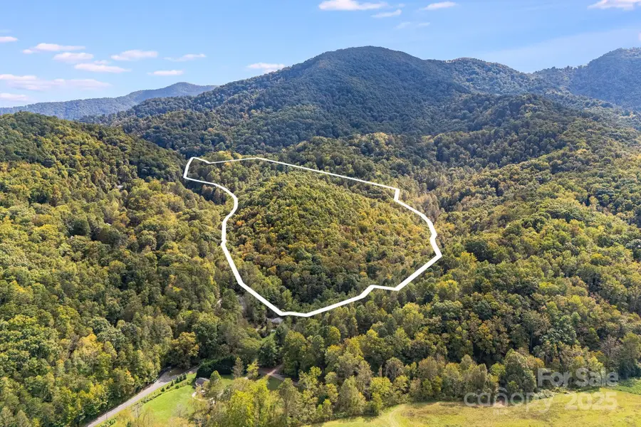 99999 S Hidden Cove Road, Leicester, NC 28748 - Image #2