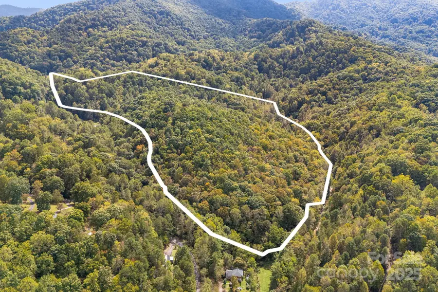 99999 S Hidden Cove Road, Leicester, NC 28748 - Image #3