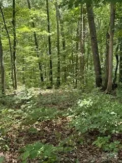 #3