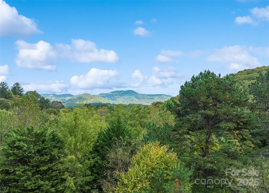 966 Coyote Hollow Road, Waynesville, NC 28785 - Image #3