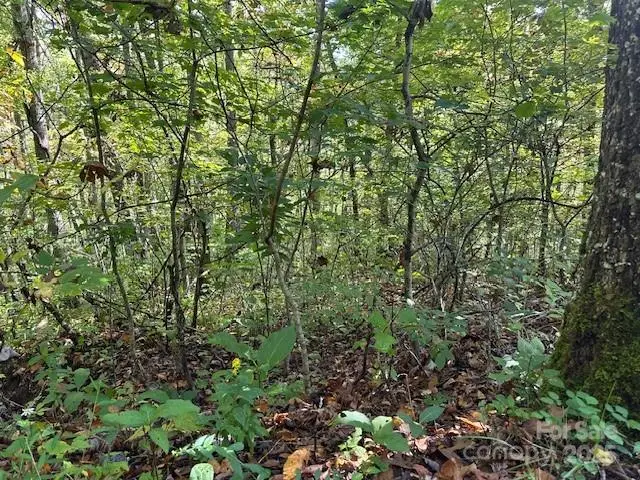 H16-H17 Shady Grove Road, Tuckasegee, NC 28783 - Image #1