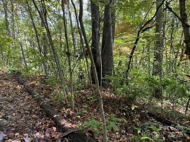 H16-H17 Shady Grove Road, Tuckasegee, NC 28783 - Image #2