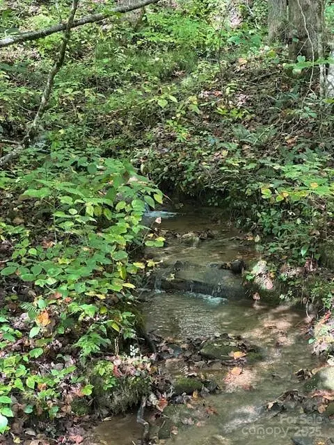 H16-H17 Shady Grove Road, Tuckasegee, NC 28783 - Image #3