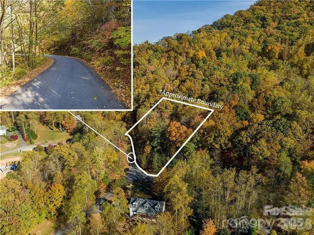 75 S Lindon Cove Road, Candler, NC 28715 - #1