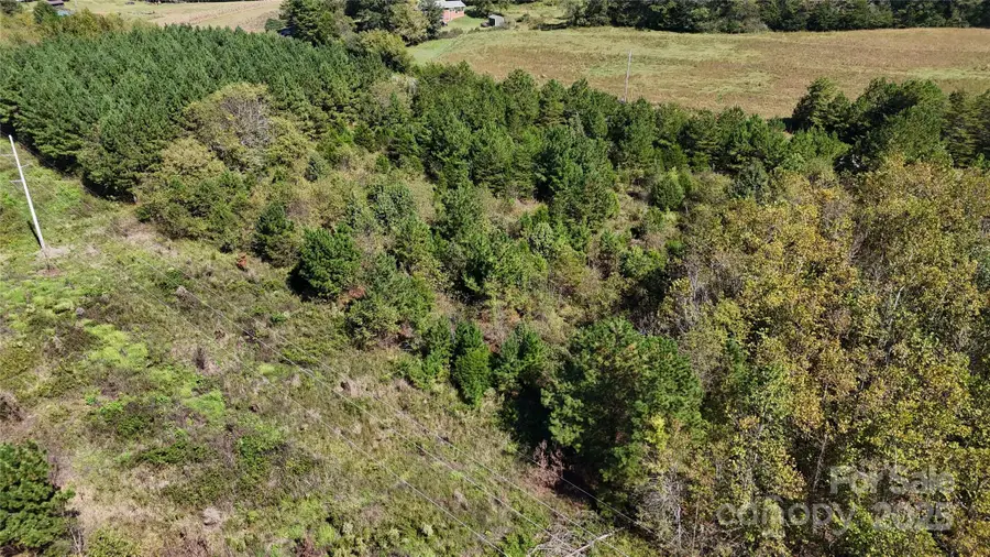 0 Clark Road, Rutherfordton, NC 28139 - Image #3