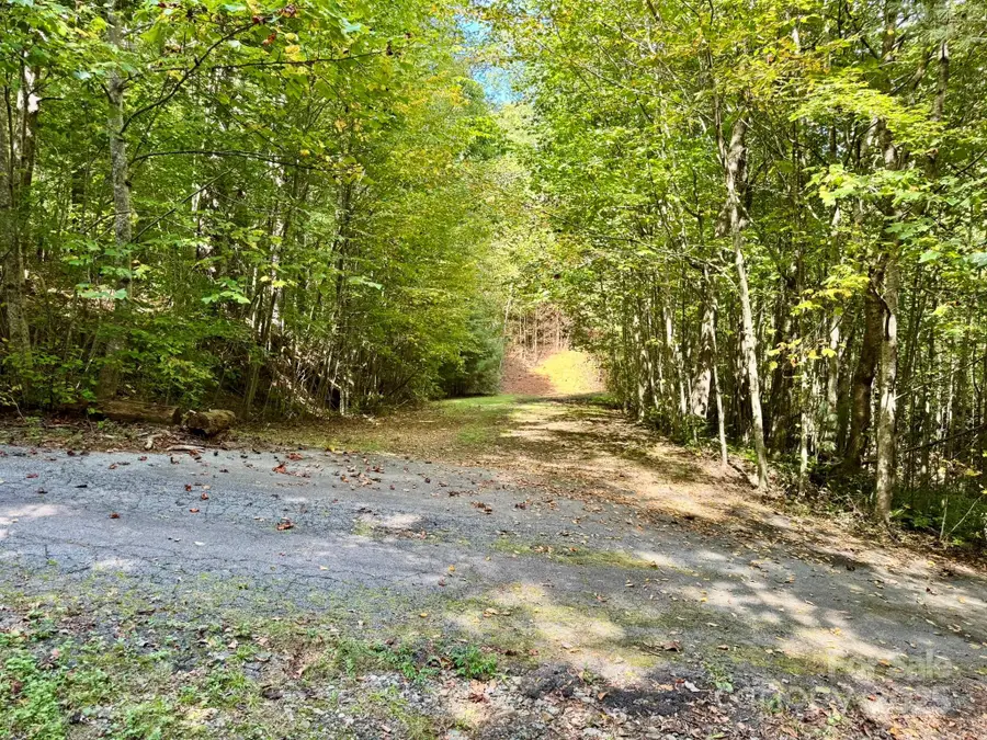 Lots 37 & 38 Settlers Ridge Road, Hendersonville, NC 28739 - Image #2