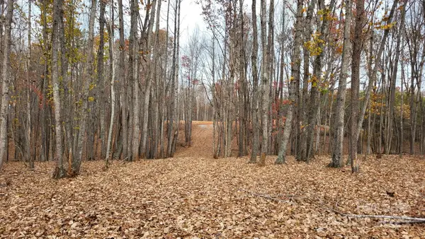 1056 Stephens Trail Road, Sandy Ridge, NC 27046