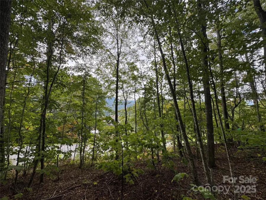 TBD Bear Paw Road #15, Elk Park, NC 28622 - Image #3