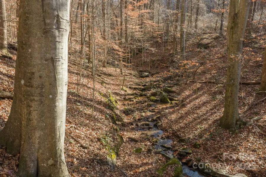 0 E Brocktown Road, Moravian Falls, NC 28654 - Image #3