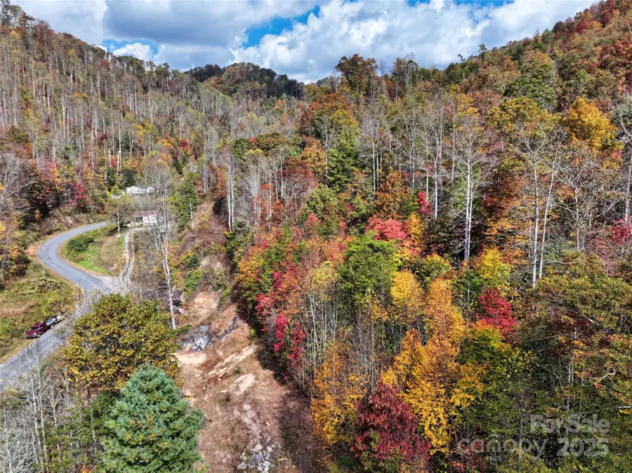 366 Renfro Road, Green Mountain, NC 28740 - Image #2