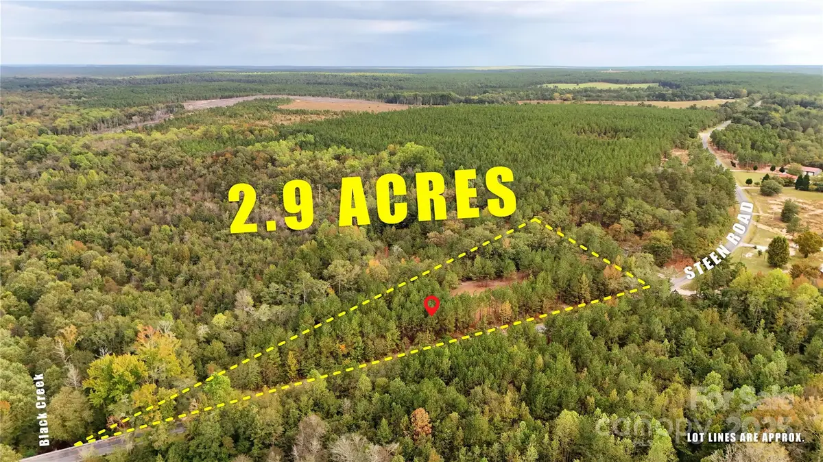 00 Steen Road, Mount Croghan, SC 29727 - Image #1