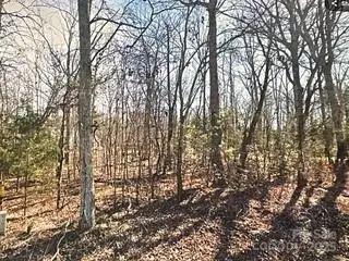 00-B Van Wyck Road, Lancaster, SC 29720 - Image #2