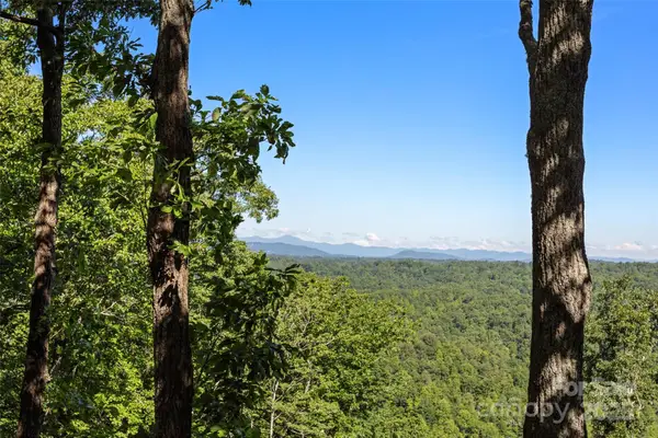 270 Ridge Drive, Saluda, NC 28773