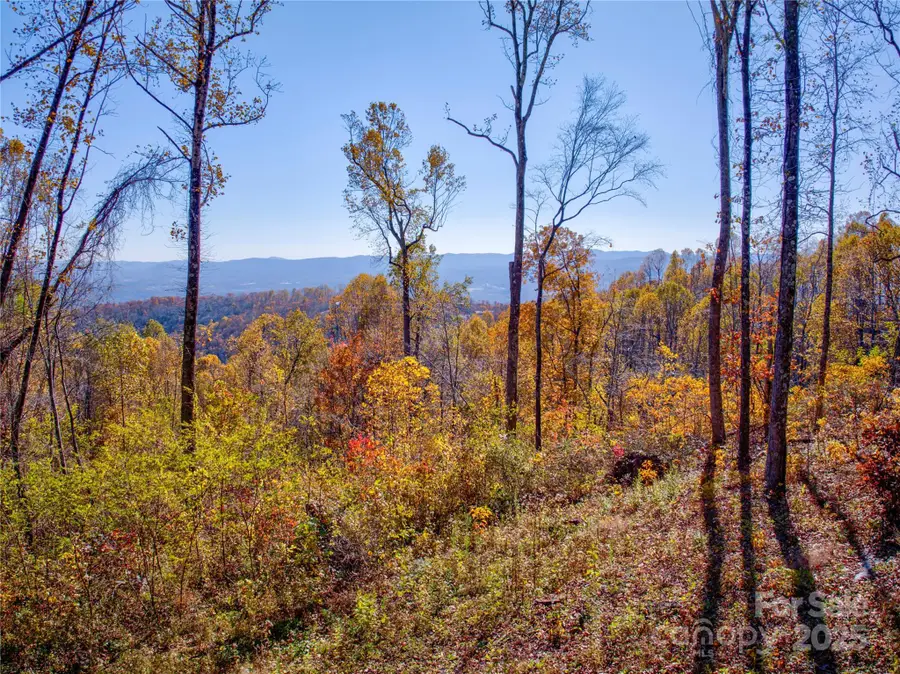 7 Laurel Ledge Way #13, Fletcher, NC 28732 - Image #2