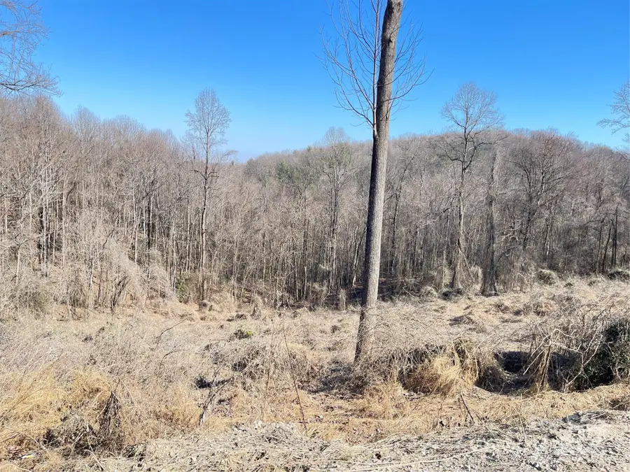 00 Vannoy Ridge Road, Moravian Falls, NC 28654 - Image #3