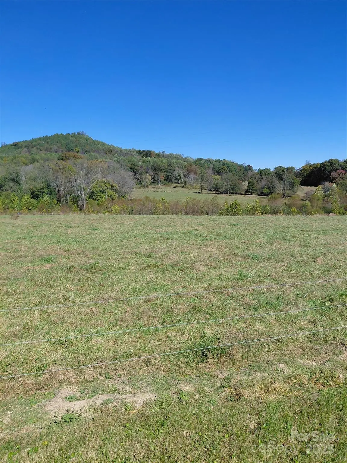 000 Collins Road, Hamptonville, NC 27020 - Image #1