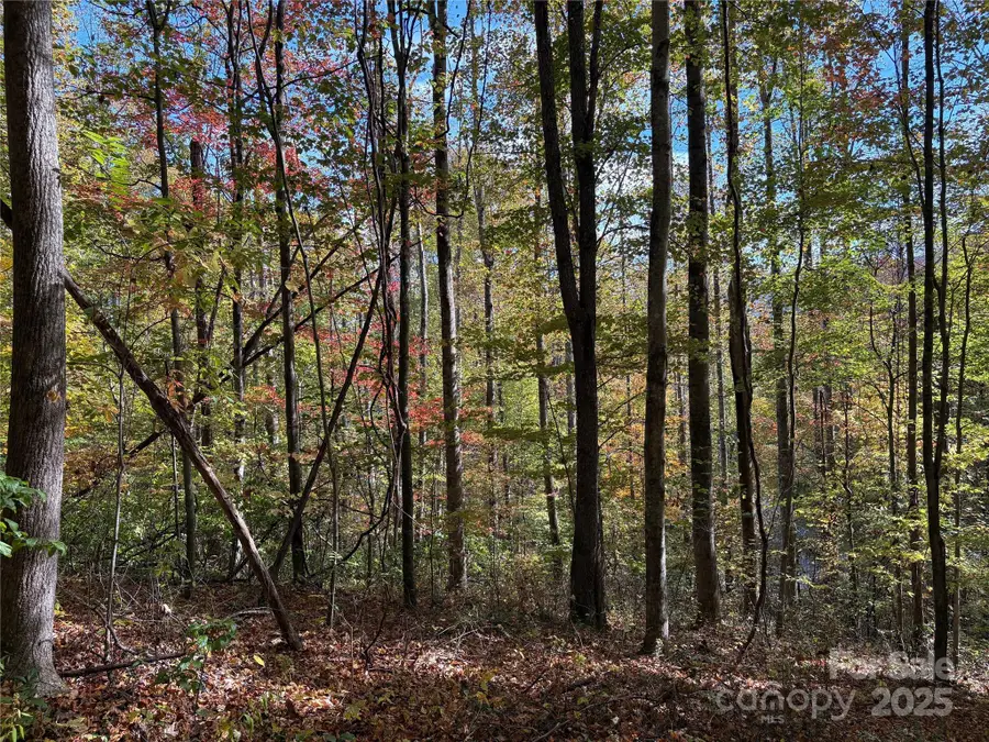 28 Cadillac Pointe, Waynesville, NC 28785 - Image #2