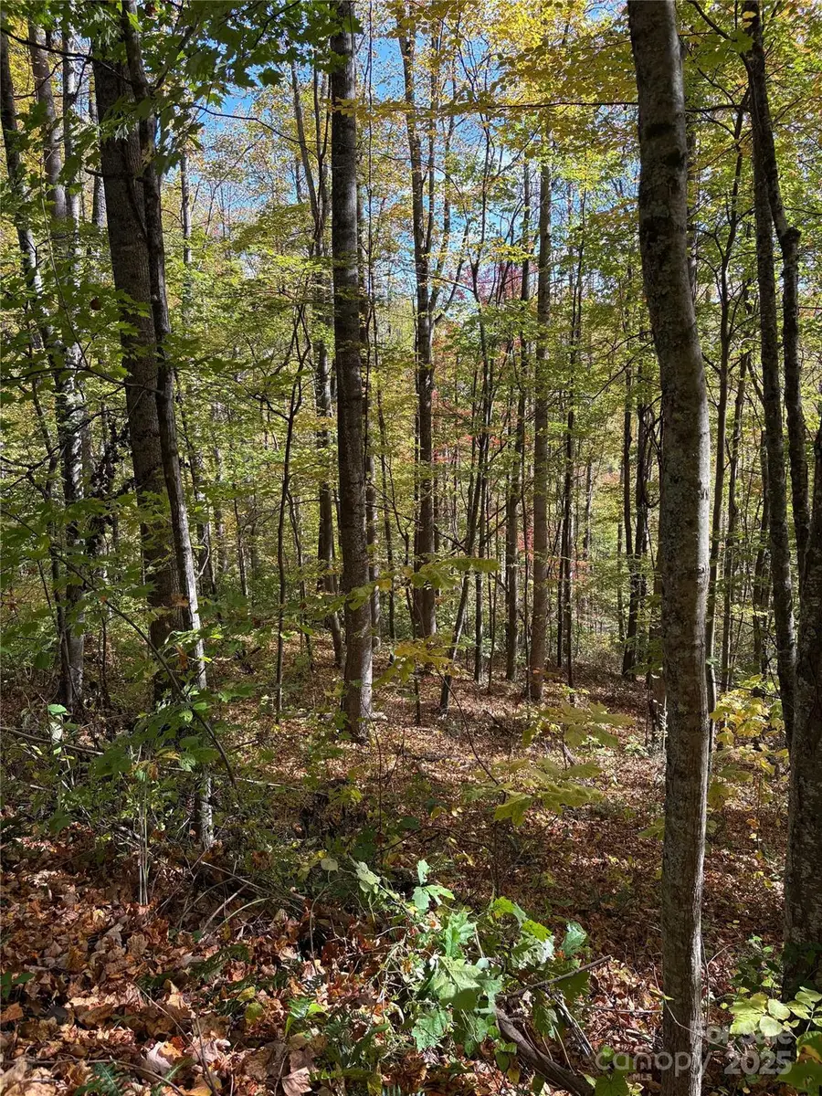 28 Cadillac Pointe, Waynesville, NC 28785 - Image #3