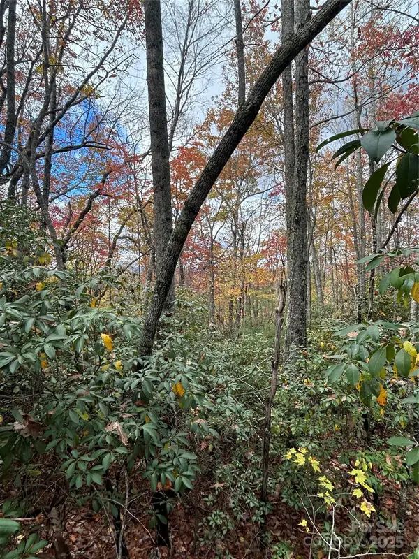 TBD High Peak Road, Etowah, NC 28792