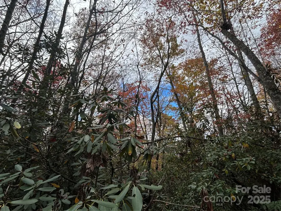 TBD High Peak Road, Etowah, NC 28792 - Image #3