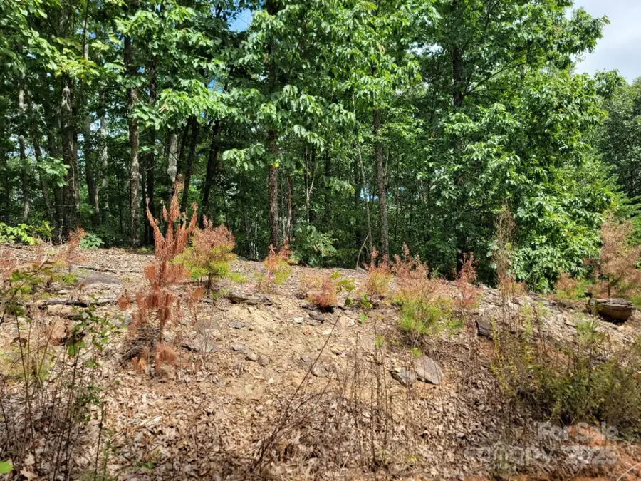 219 Judy Road, Casar, NC 28020 - Image #2