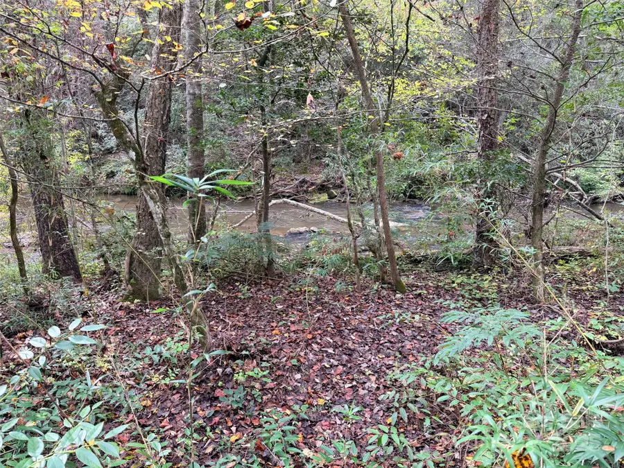 0 Antioch Road, Lake Lure, NC 28746 - Image #2