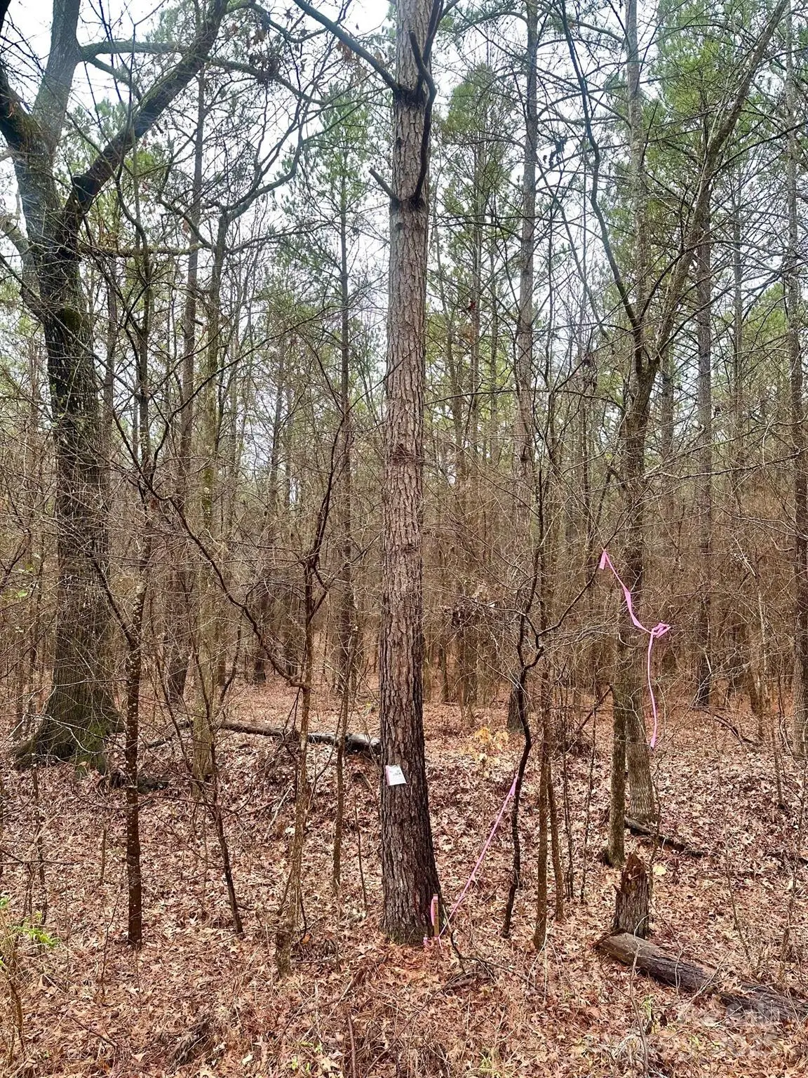 1176 Great Falls Highway, Chester, SC 29706 - Image #1