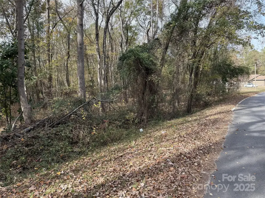 00 Tanglewood Lane, Great Falls, SC 29055 - Image #2