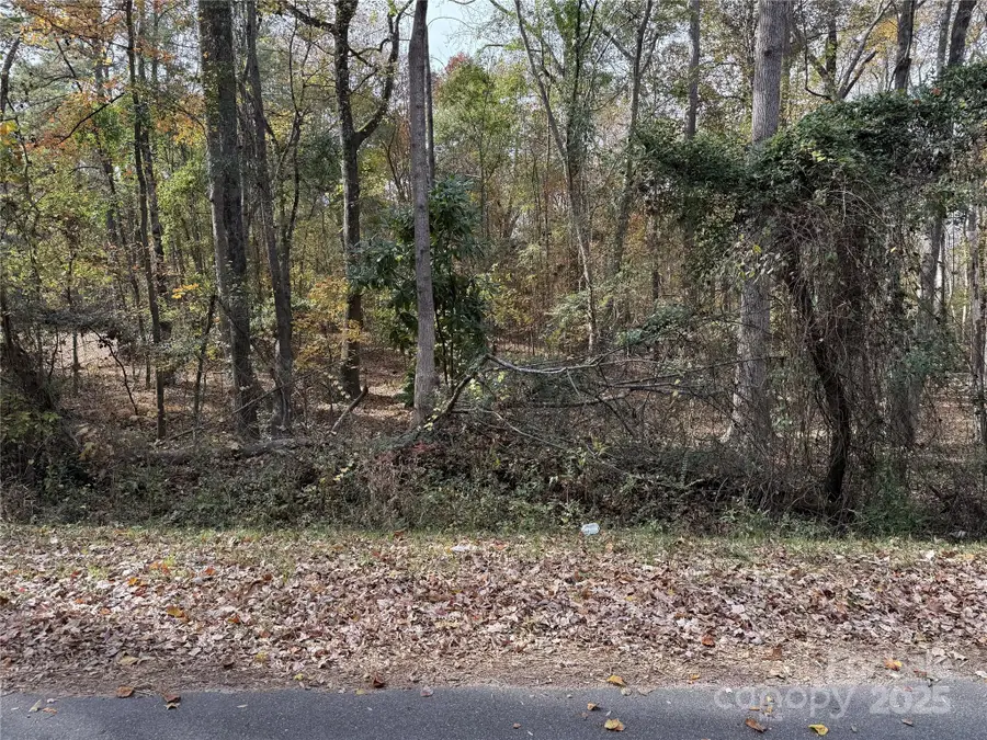 000 Tanglewood Lane, Great Falls, SC 29055 - Image #3