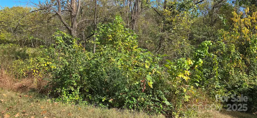 520 Healan Place Nw, Lenoir, NC 28645 - Image #3