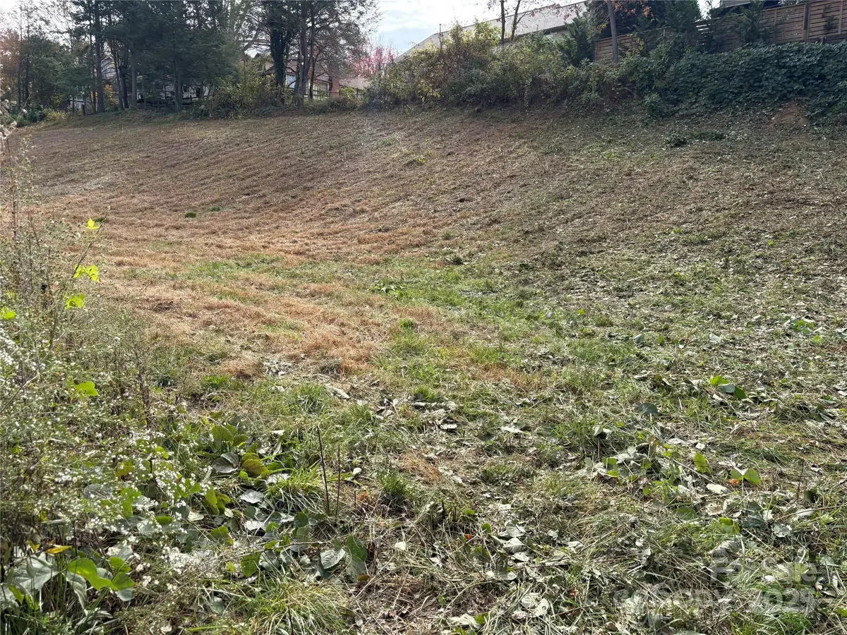 119, 123, 127 Randolph Avenue, Black Mountain, NC 28711 - Image #1