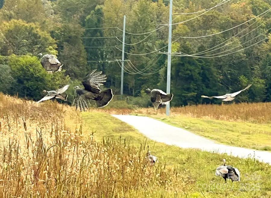 24990 Birdhouse Lane #4, Locust, NC 28097 - Image #3