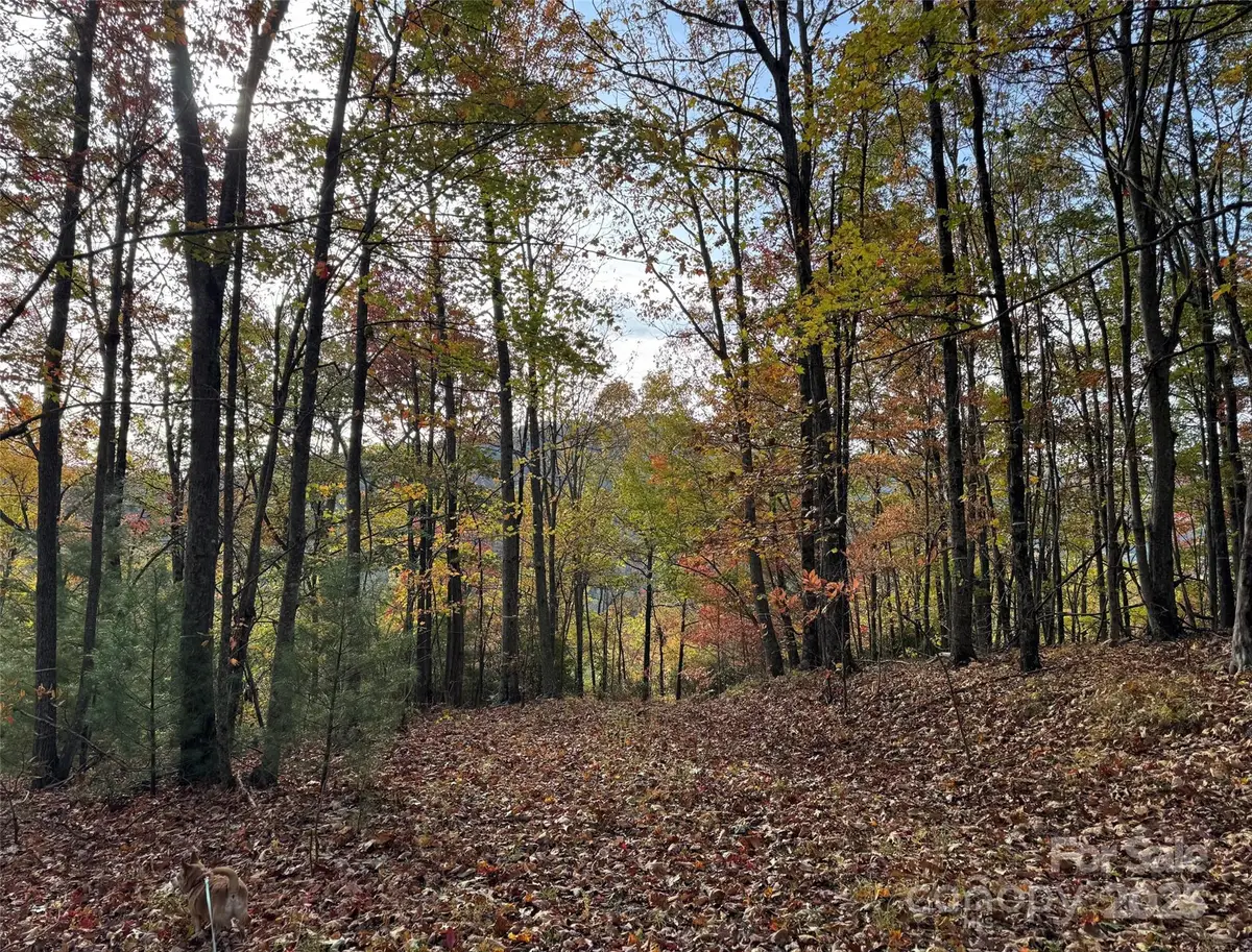 692 Blue Mist Way #205R, Arden, NC 28704 - Image #1