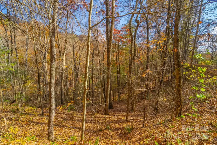 Lot 24 Rivers Edge Road, Franklin, NC 28734 - Image #2