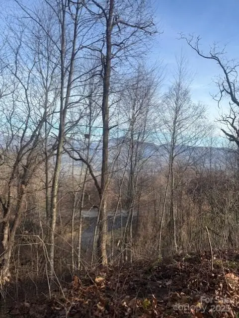 0 Pathways Trail #89, Waynesville, NC 28785 - Image #1