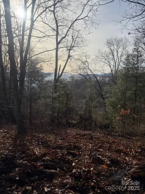 0 Pathways Trail #89, Waynesville, NC 28785 - Image #2