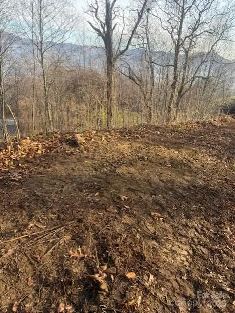 0 Pathways Trail #89, Waynesville, NC 28785 - Image #3