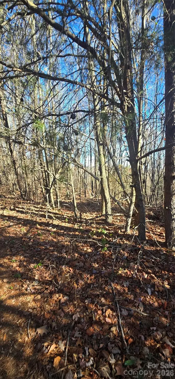 00 Gettys Road, Ellenboro, NC 28040 - #3