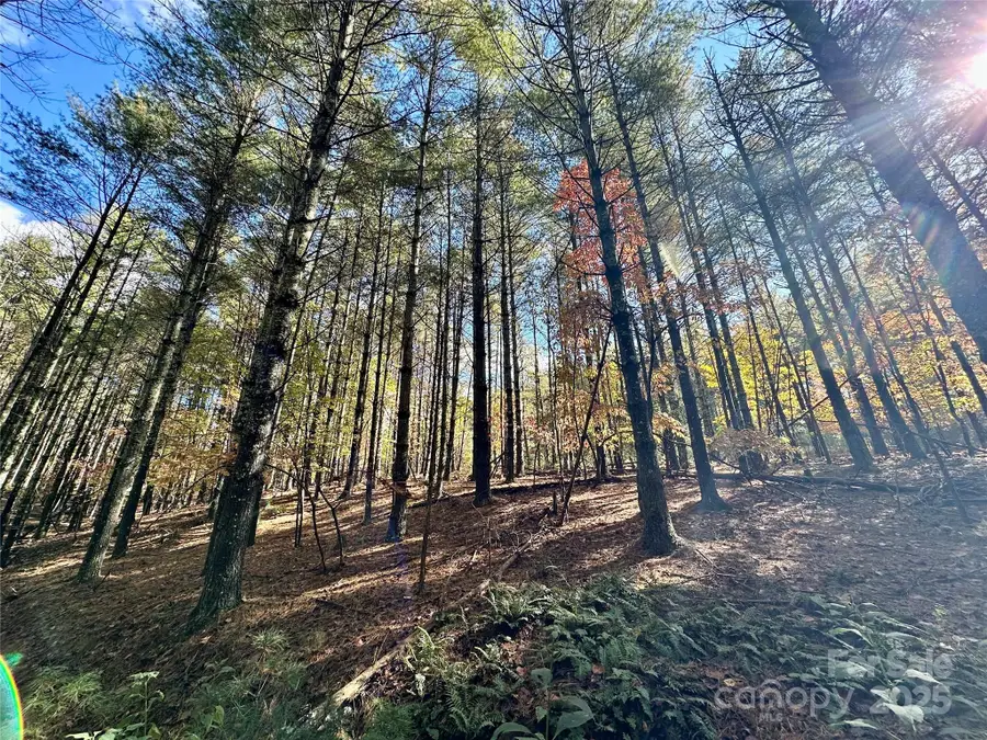 146 Bream Flats Drive #40, Nebo, NC 28761 - Image #3