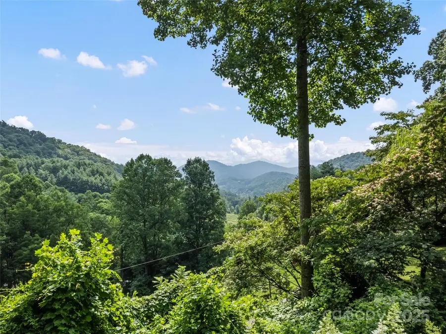 318 Grapevine Cove, Waynesville, NC 28785 - Image #3