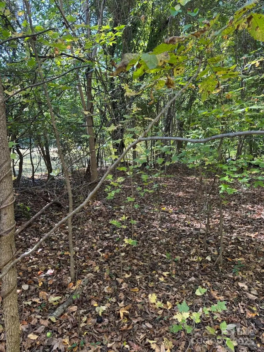 307 Steele Street, Fort Mill, SC 29715 - Image #2