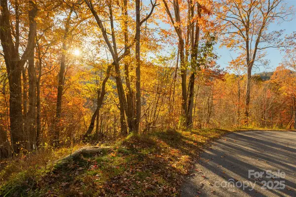 0 Wesley Creek Road #1 and 2, Clyde, NC 28721