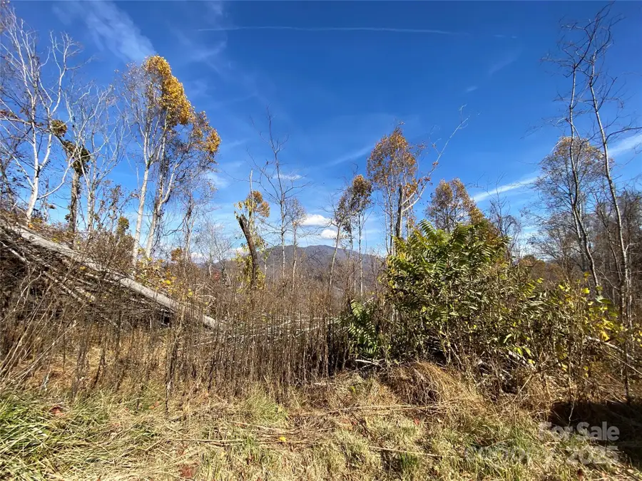 999 Bear Springs Road #QQ, Bakersville, NC 28705 - Image #2